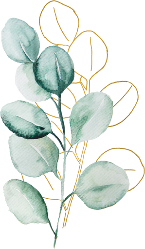 Green and Golden Watercolor Eucalyptus Botanical Leaves Illustration